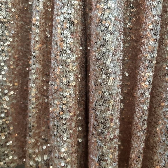 Kalinnu's Gown,‎ For Formals, Proms, Etc.  Rose Gold Sequins, Dress Size (S) - Picture 14 of 15